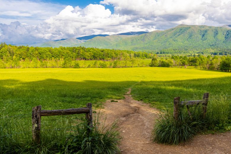 The 5 Best Cades Cove Hiking Trails